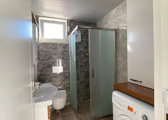 Detached In Antkoop * Серик