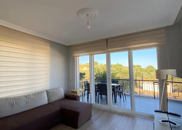 Detached In Antkoop Серик