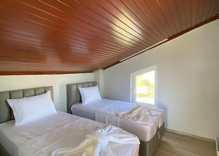 Detached In Antkoop * Серик