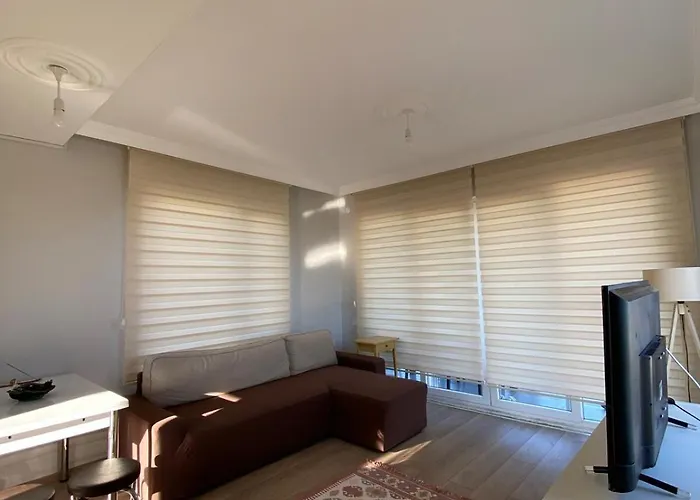 Detached In Antkoop Серик